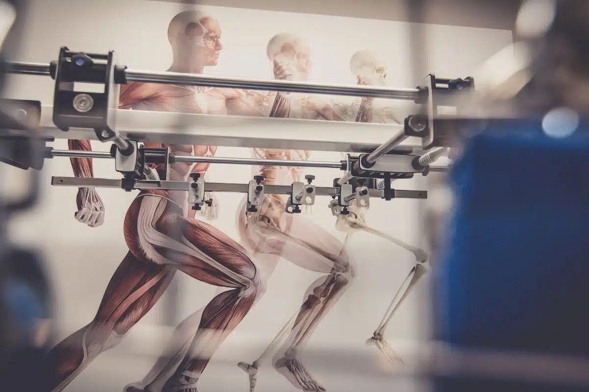 cardio-training  santé