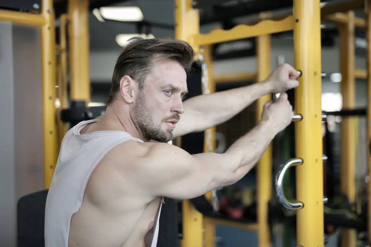 alimentation  musculation